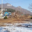 비발디 후문 이미지