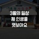 3월의 일상 - 제 인생을 엿보아요