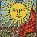 카드의 언어 타로[초급] | 타로 마스터의 길: 초급, 중급, 고급의 차이와 성장 가이드