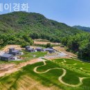 스테이 경화 이미지