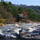 산삼휴양밸리(대봉캠핑랜드) 이미지