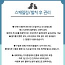 다온동물병원 | 다온동물병원 6살강아지 건강검진 + 스케일링 후기 !