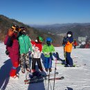 한일스포츠 이미지