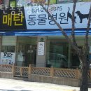 매탄동물병원 이미지