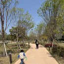 장대어린이놀이터 | 서울 아이랑 가볼만한 곳 용산 어린이 정원(예약 정보, 주차, 이용꿀팁, 후기)