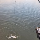 양벌낚시터 이미지