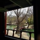 원앙목장 | 전북가볼만한곳 3월 봄날의 남원여행 2탄