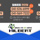 힐베르트수학과학학원
