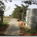 7번국도 동해대로(현북면) 네이버블로그
