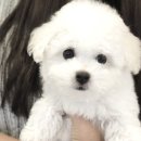 펫타운 - 김해시 구지로 102 | 펫타운