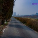 연세미타임피부과의원 이미지