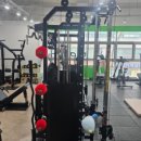 조은운동 이미지