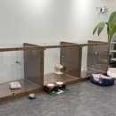 슈블리펫살롱 이미지