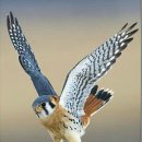 호텔 빅토리아 이미지