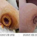 삽화서문(13개) 이미지