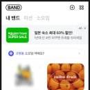 털보과일