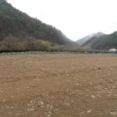 평창중앙로 이미지