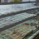 오레시피 서울문래점 이미지