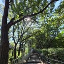 월드컵주유소 | 서울 양천구 목동 용왕산스카이워크, 월드컵대교, 염창동 인공폭포, 북한산, 한강이 한 눈에 보여요.