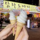 탐라제주도야지 이미지