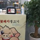 돈뜰꽃돼지