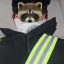 보람찬하루 | [공지] 스타벅스 주차 관리 아르바이트: 주말은 힘들지만 보람찬 생생 후기