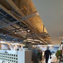 블루닷 빌리어즈 이미지