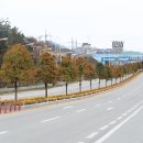 가로수민박 이미지