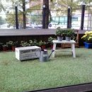 어바웃독 이미지