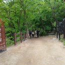 강선산방 | 곰배령(인제, 1164m)