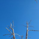 기분좋은점 이미지