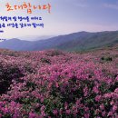 산청공설운동장 실내체육관 Daum카페