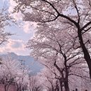 명촌길천로 이미지