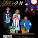 바론켄넬 이미지