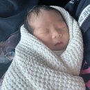 오늘산후조리원 | [오늘산후조리원] 2주 솔직 후기: 시설, 식단, 마사지 내돈내산 총정리