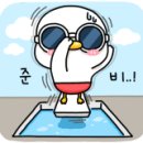 쥬쥬펫 네이버블로그