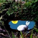 느리민박 이미지