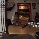 [삼시세끼] 이서진 차승원 유해진을 모두 경험한 손호준의 정리.jpg 이미지