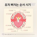 퍼피마마 | 유치 빠지는 순서 시기 관리 방법 키즈 치실 Plackers 플랙커스 퍼피구조대 에디션