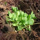 우리동네연구소 퍼즐협동조합 이미지