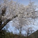 삼지재 이미지