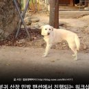 부귀산장민박 이미지