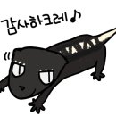 박가고기국수 이미지