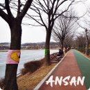 화랑유원지_경기도미술관주변 이미지