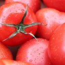 토마토약국 이미지