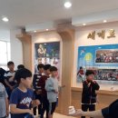 용인대 수 합기도 이미지