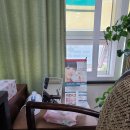 베르나르의원 이미지