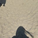 헤어도도 | 김포사람의 강릉 여행 썰 | 도도헤어에서 인생컷 뽑은 날