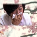 15년째 가족 그리는 ‘평양시민’ 김련희의 눈물 이미지