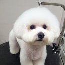 늘, 예쁘개 이미지